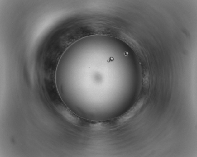 X0000113340430200909151135