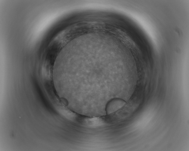 X0000113340431200909151135