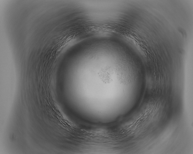 X0000113340433200909151134
