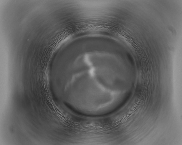 X0000113340434200909151134