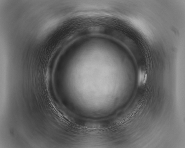 X0000113340435200909151134