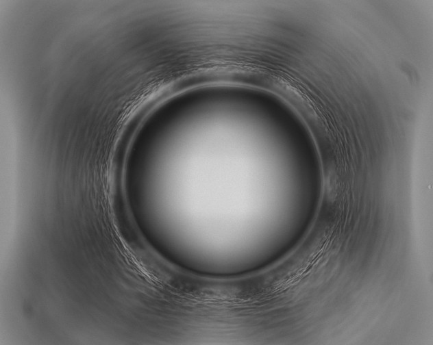 X0000113340436200909151134