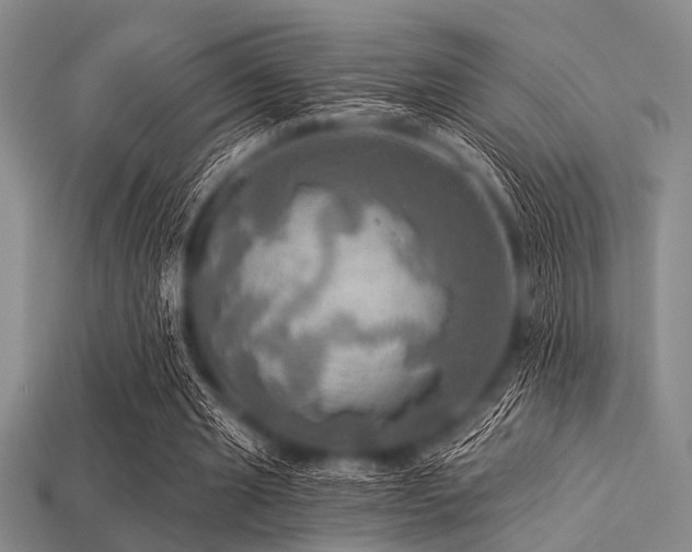 X0000113340437200909151134