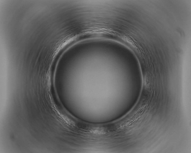X0000113340438200909151134