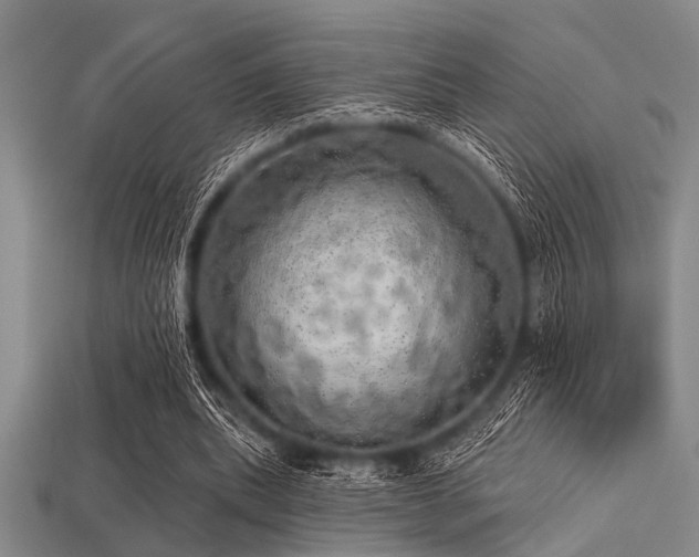X0000113340439200909151134