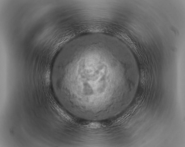 X0000113340441200909151134