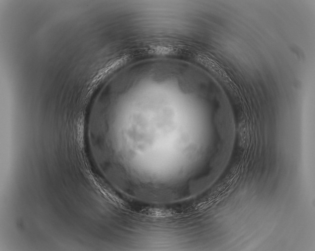 X0000113340442200909151134