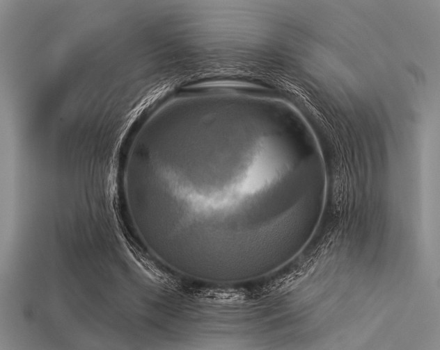 X0000113340443200909151134