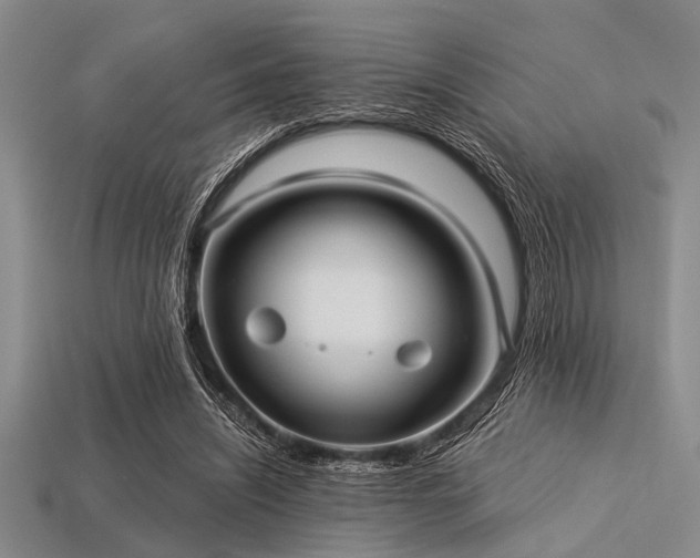 X0000113340444200909151134