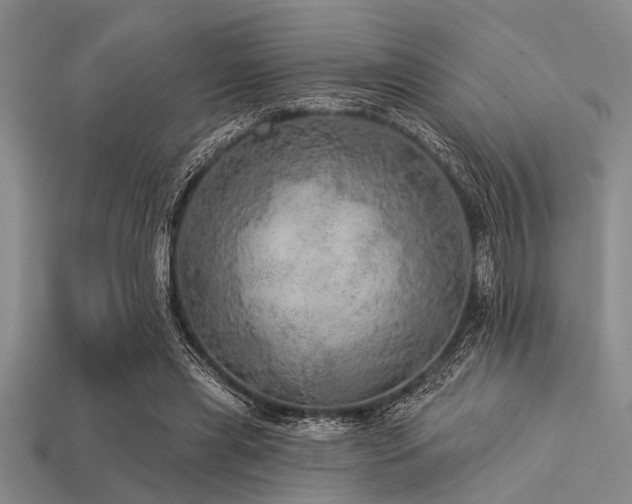 X0000113340445200909151134