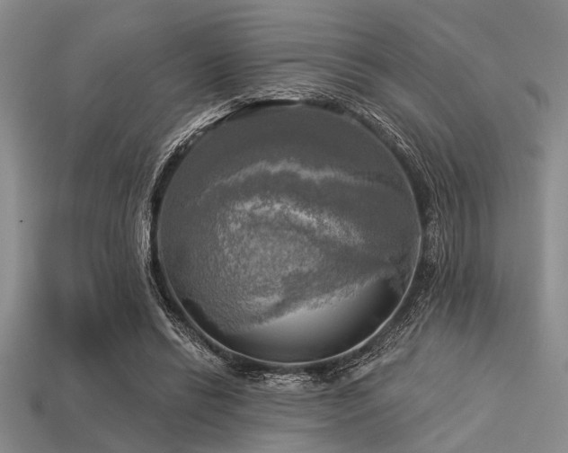 X0000113340446200909151134