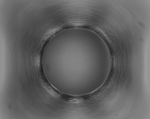 X0000113340447200909151134