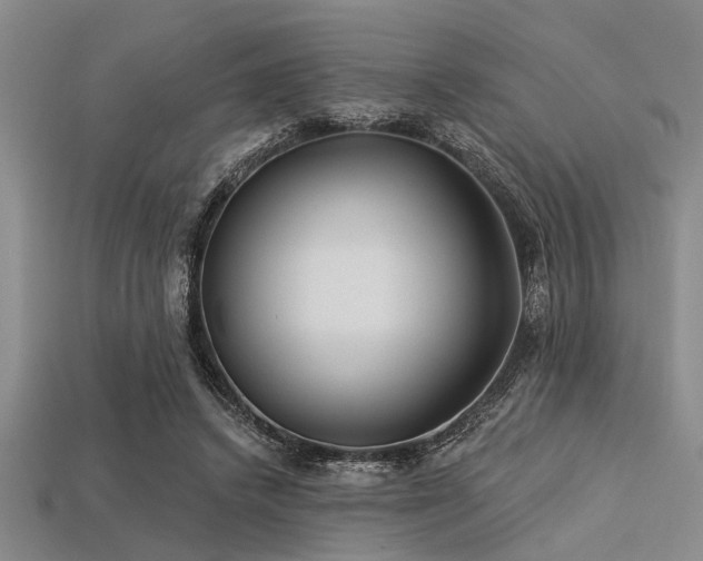 X0000113340448200909151134