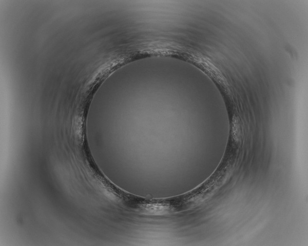 X0000113340449200909151134