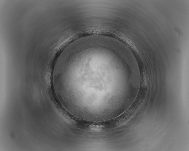 X0000113340450200909151134
