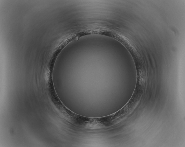 X0000113340451200909151134