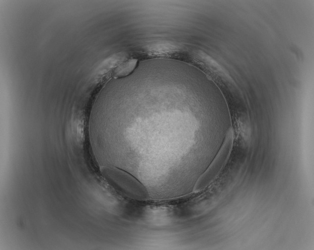 X0000113340452200909151134