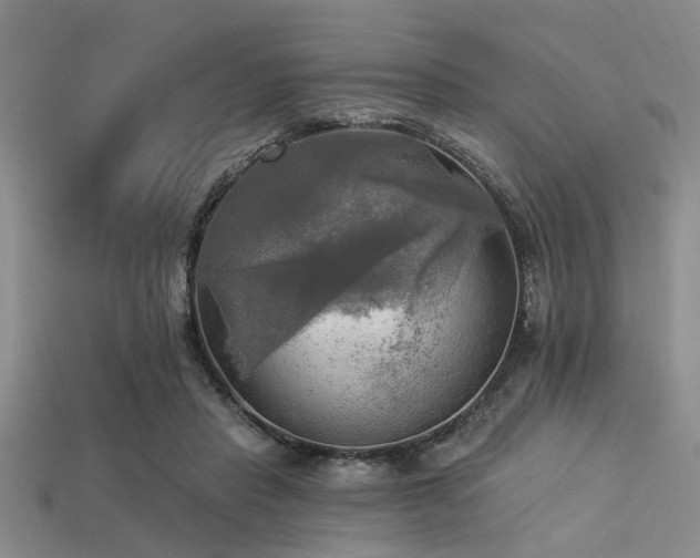 X0000113340453200909151134