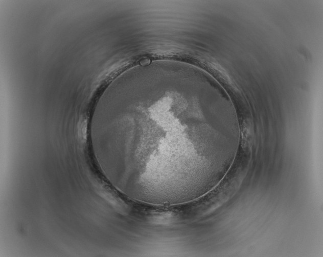 X0000113340454200909151134