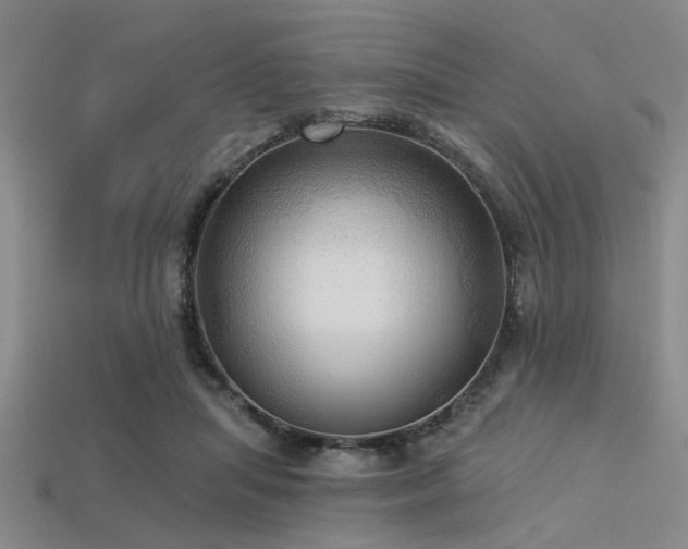 X0000113340455200909151134