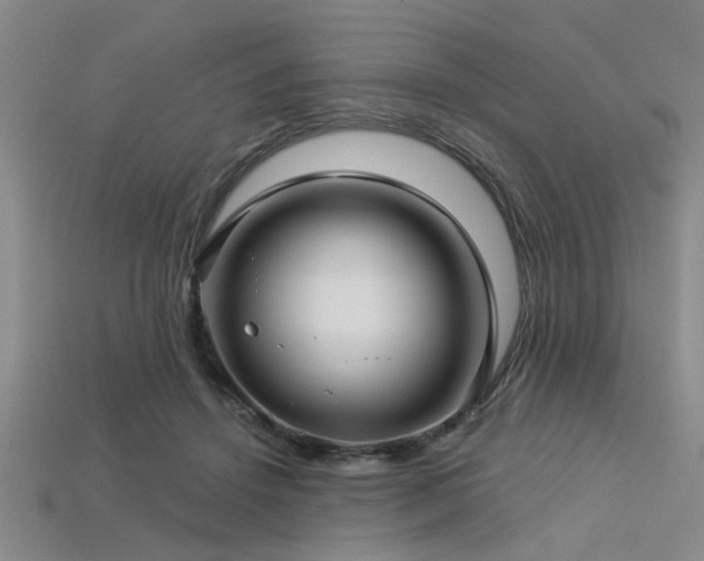 X0000113340456200909151134