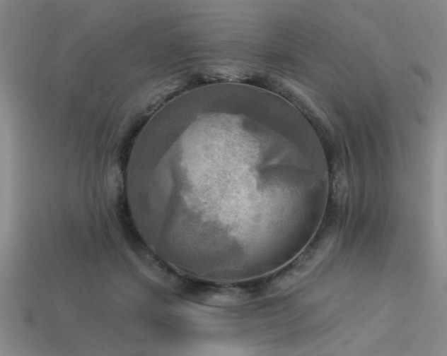 X0000113340459200909151134