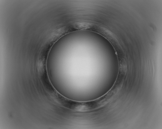 X0000113340460200909151134