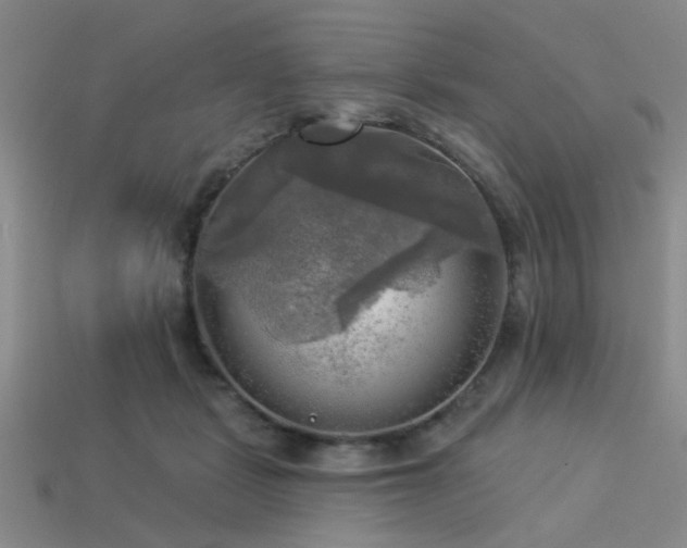 X0000113340461200909151134