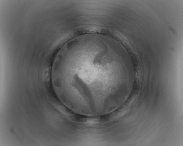 X0000113340462200909151134