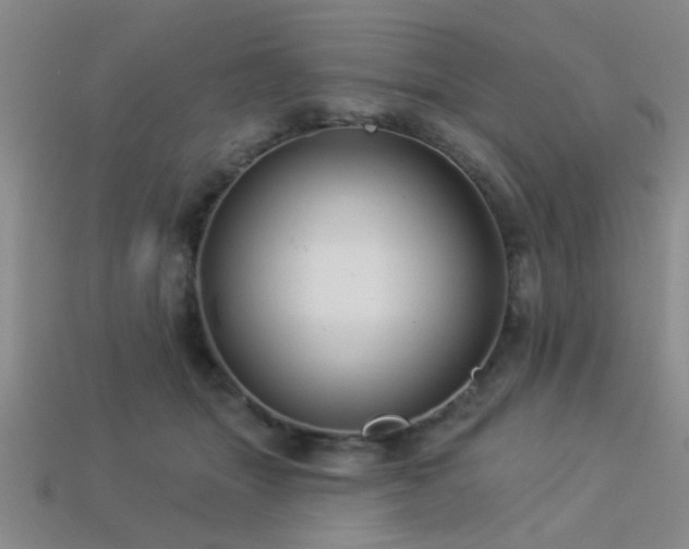 X0000113340463200909151134