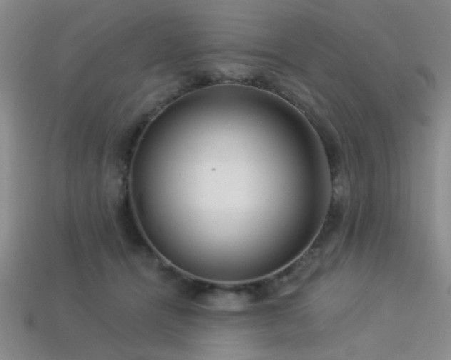 X0000113340464200909151134