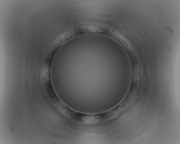 X0000113340465200909151134