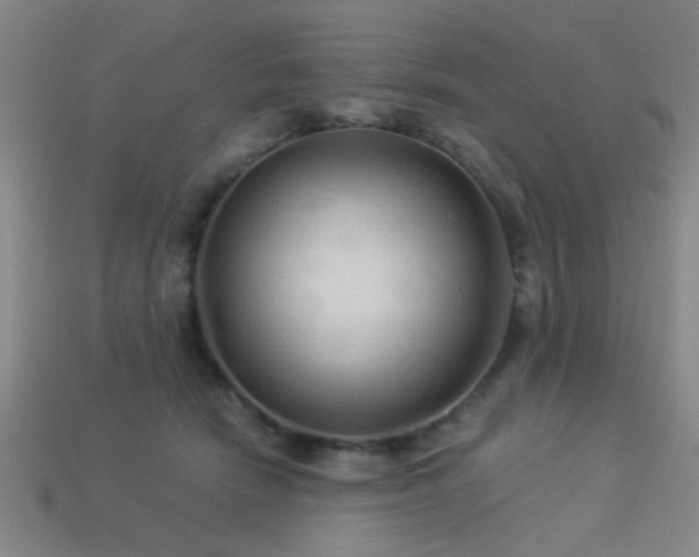 X0000113340466200909151134