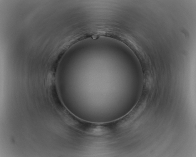 X0000113340467200909151134