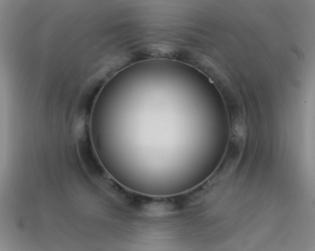 X0000113340468200909151134