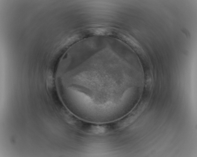 X0000113340469200909151134