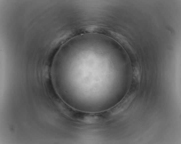 X0000113340470200909151134