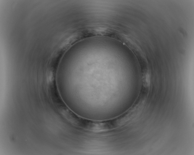 X0000113340472200909151135