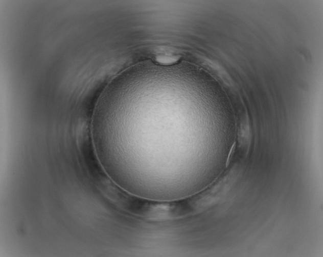 X0000113340473200909151135