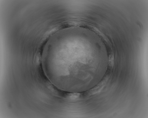 X0000113340474200909151135