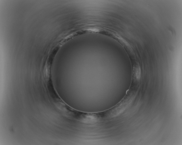 X0000113340475200909151135