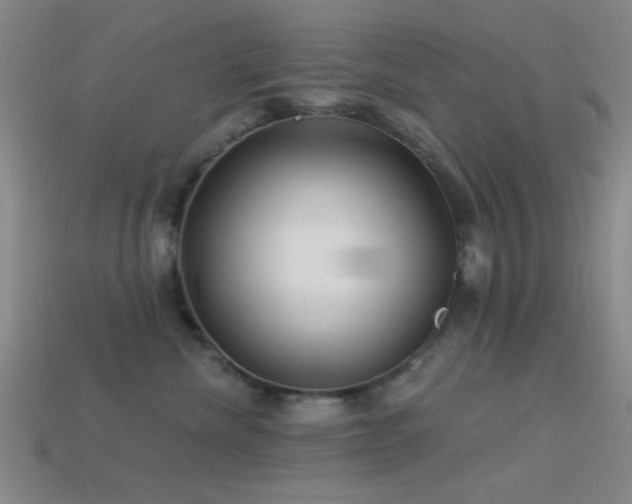 X0000113340476200909151135