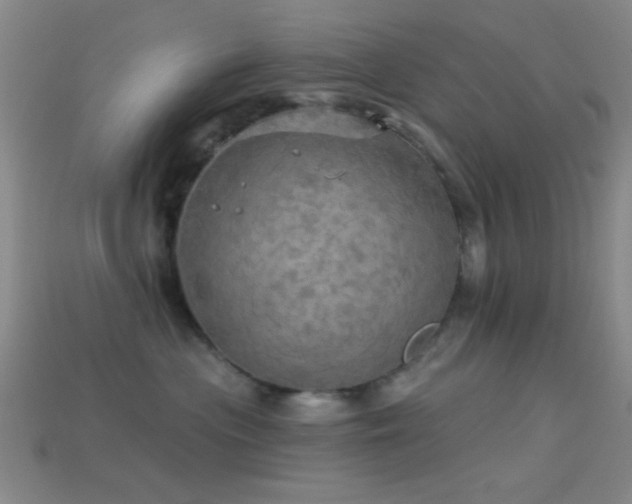X0000113340477200909151135