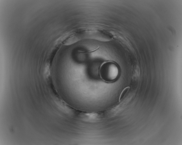 X0000113340478200909151135