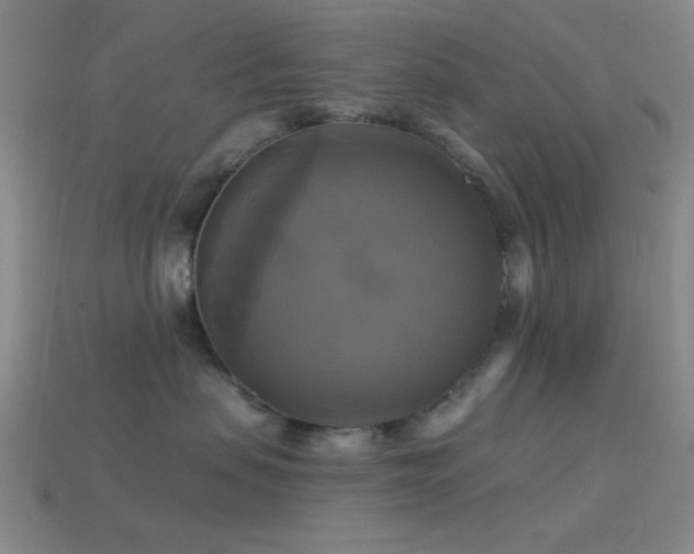 X0000113340479200909151135