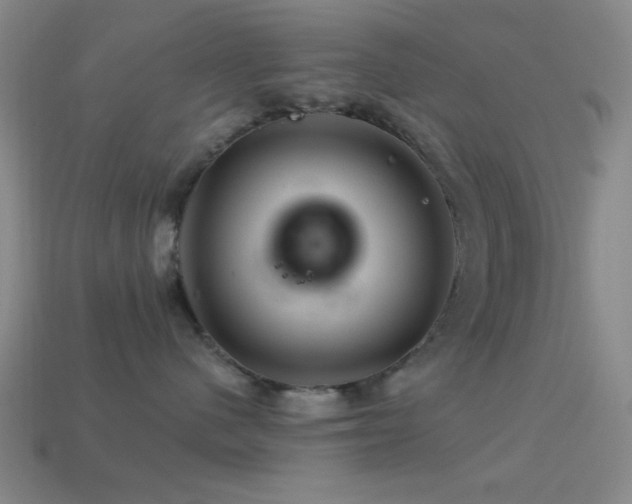 X0000113340480200909151135