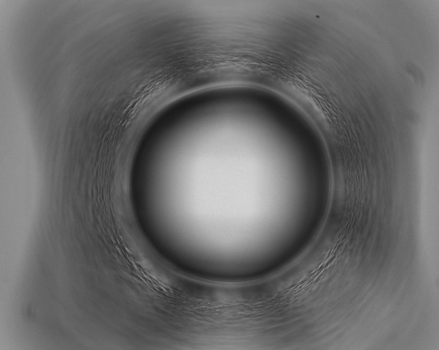 X0000113340481200909151134