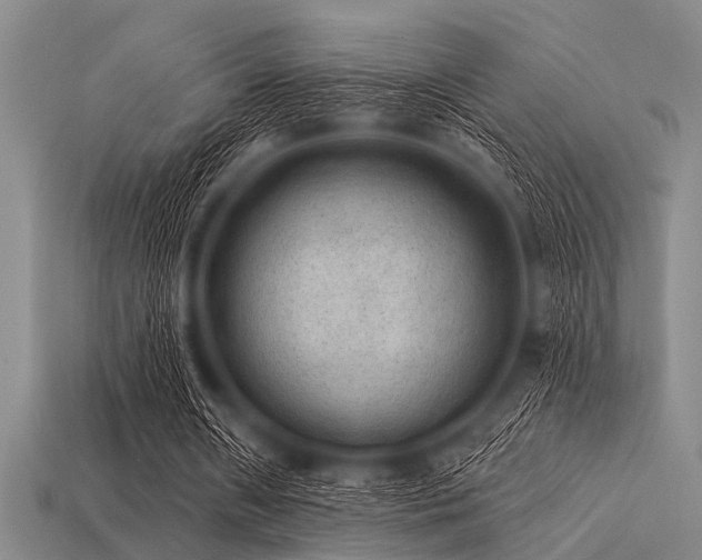 X0000113340482200909151134