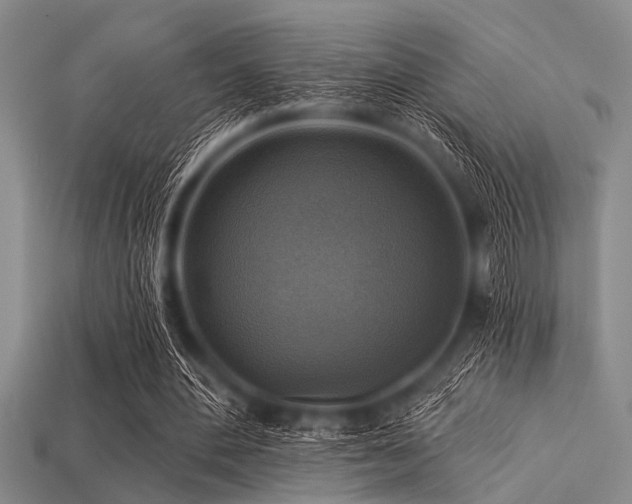 X0000113340484200909151134