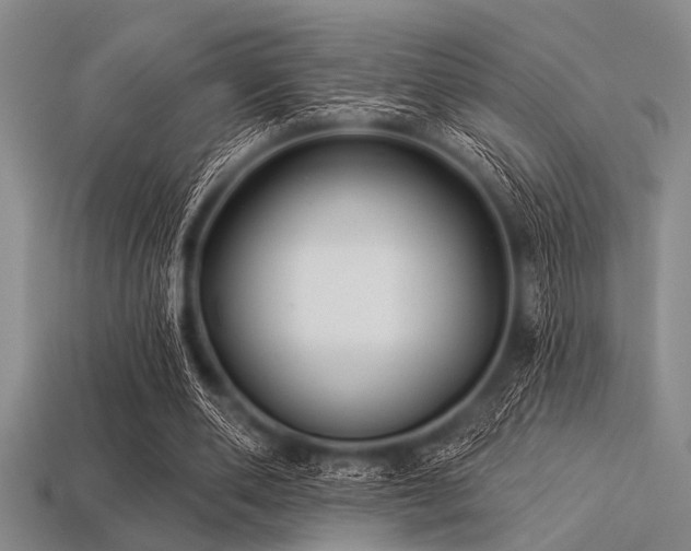 X0000113340486200909151134